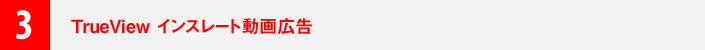 ３．TrueView インスレート動画広告