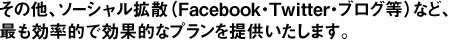 その他、ソーシャル拡散（Facebook・Twitter・ブログ等）など、最も効率的で効果的なプランを提供いたします。